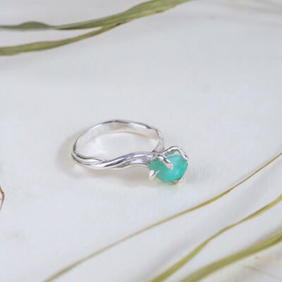 Anillo Raíz